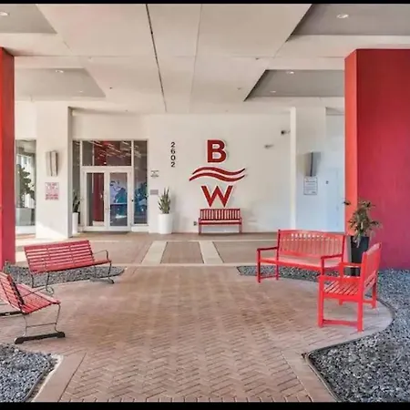 Ocean Views - Pool & Gym - Pet Friendly - Close To Beach Hallandale Beach Exterior photo